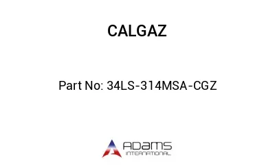 34LS-314MSA-CGZ