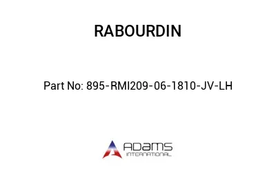 895-RMI209-06-1810-JV-LH