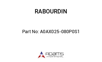 A0AX025-080P0S1