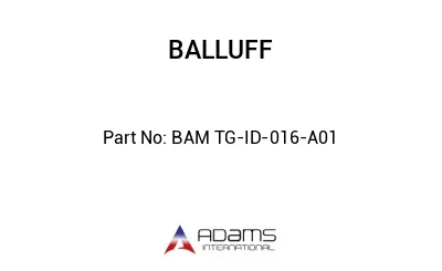 BAM TG-ID-016-A01									