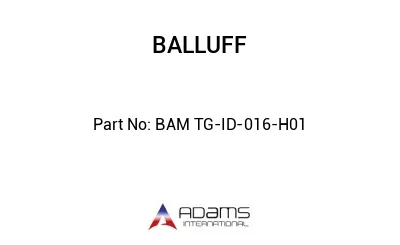 BAM TG-ID-016-H01									