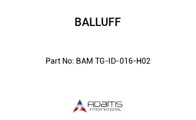 BAM TG-ID-016-H02									