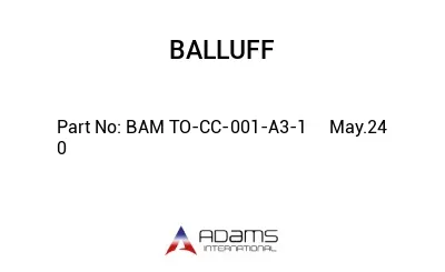 BAM TO-CC-001-A3-1	May.24	0							