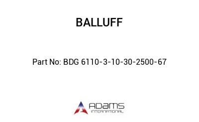 BDG 6110-3-10-30-2500-67									