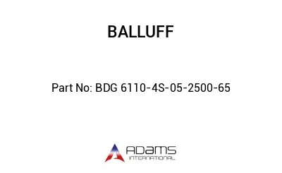 BDG 6110-4S-05-2500-65									