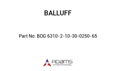 BDG 6310-2-10-30-0250-65									