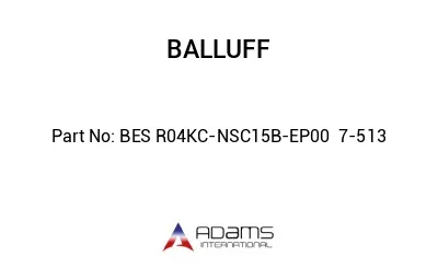 BES R04KC-NSC15B-EP00	7-513								