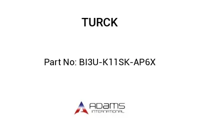 BI3U-K11SK-AP6X