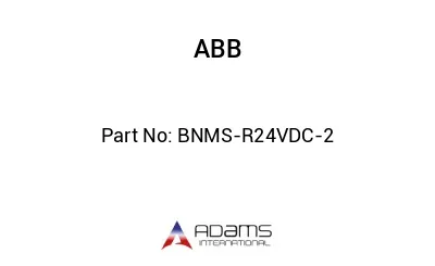 BNMS-R24VDC-2