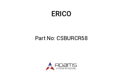 CSBURCR58