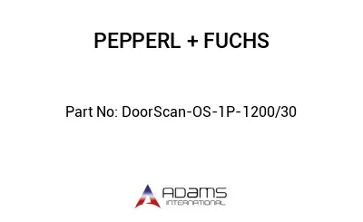 DoorScan-OS-1P-1200/30