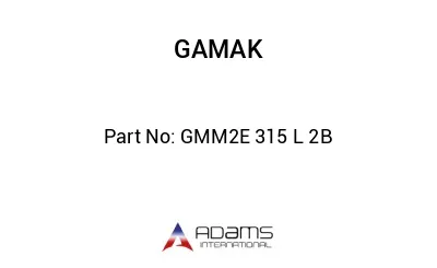 GMM2E 315 L 2B