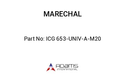 ICG 653-UNIV-A-M20