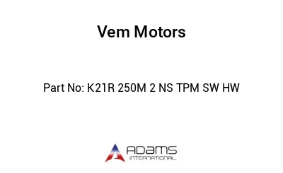 K21R 250M 2 NS TPM SW HW