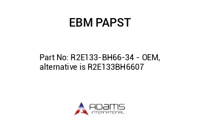 R2E133-BH66-34 - OEM, alternative is R2E133BH6607