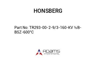 TR293-00-2-9/3-160-KV ½B-BSZ-600°C